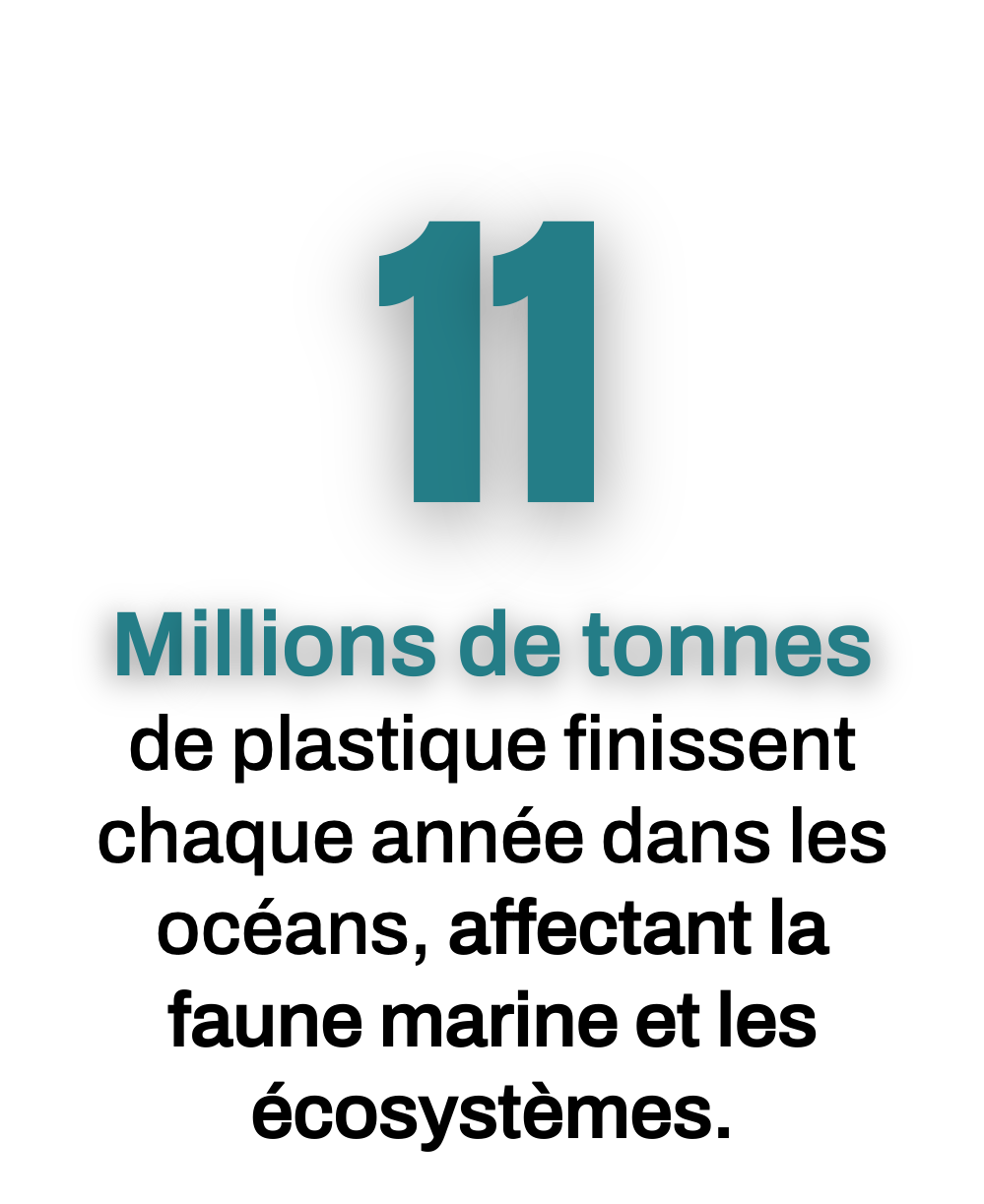 11  Millions de tonnes  de plastique finissent chaque année dans les océans, affectant la faune marine et les écosystèmes.